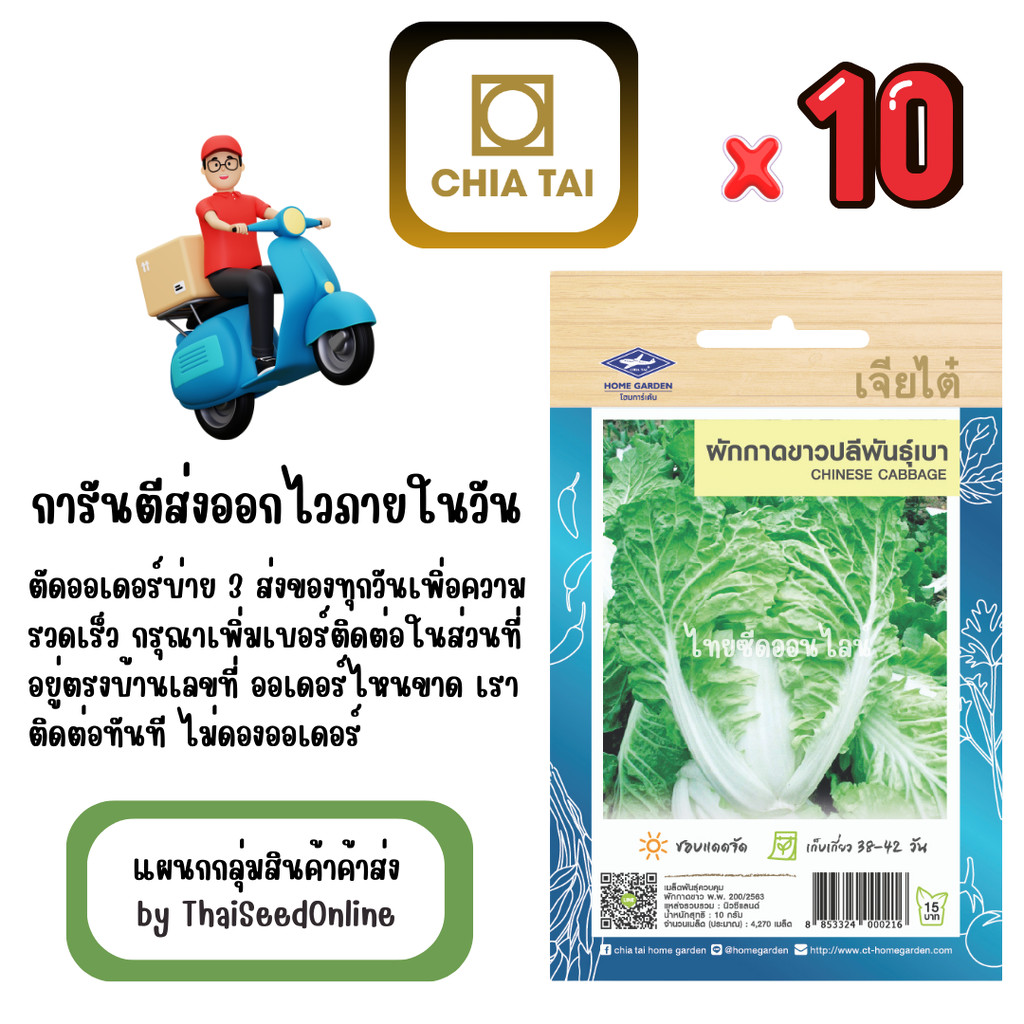 เจียไต๋ CTOP x 10 เมล็ดผักซองเจียไต๋ ผักกาดขาวปลีพันธุ์เบา สินค้ายกแพ็ค