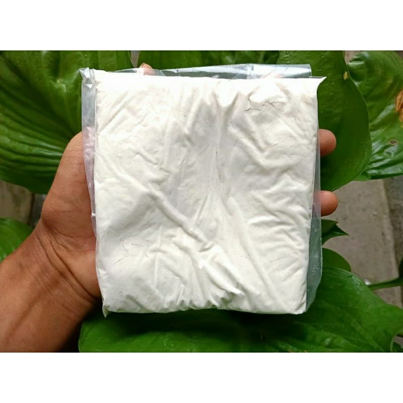 BUKIT TINGI ORIGINAL BONE FLAOUR สําหรับปลาจําลองสําหรับ GALATAMAK