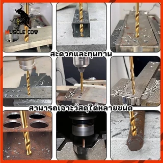 MUSCLE COW ดอกสว่านโคบอลต์ HSS Co5 M35 ขนาด 1.0-13 mm สำหรับเจาะสแตนเลส เจาะเหล็ก