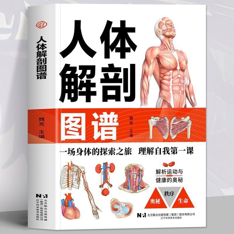--Human Anatomy Atlas รูปแบบสีรูปแบบกระดูกกล้ามเนื้อหลอดเลือดและฟังก์ชั่นอื่นๆ Anatomy Professional 