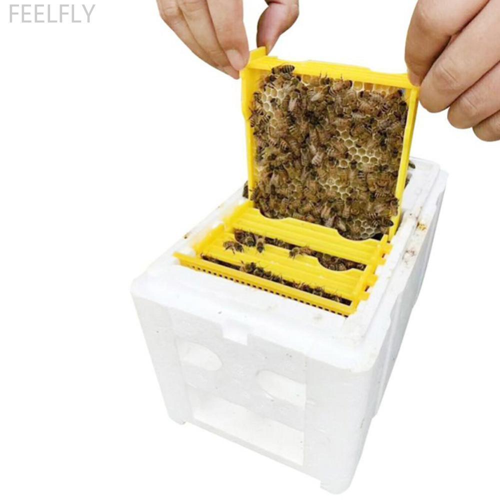 FEELFLY Queen Bee Breeding Mating กล่องโฟม Bee Hive กล่องสวน Pollination อุปกรณ์การเลี้ยงผึ้ง C6T5