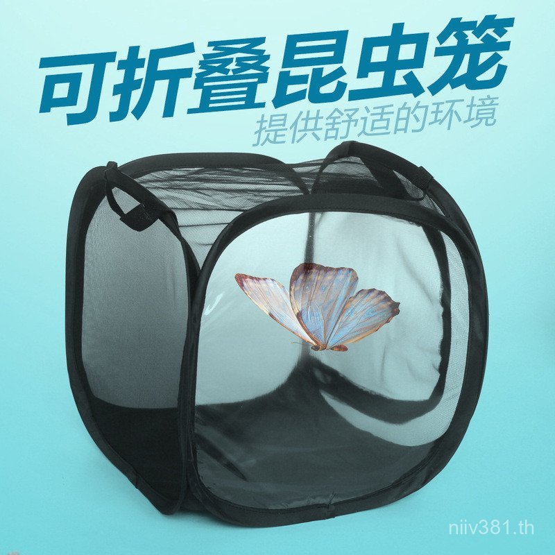 ไม้ไผ่กล่องผีเสื้อสังเกตขนาดใหญ่กล่องด้วงพืชแมลงกรงแมลงสุทธิกล่องเข้ารหัสแมลงสุทธิตั๊กแตน เอดีเอฟ7