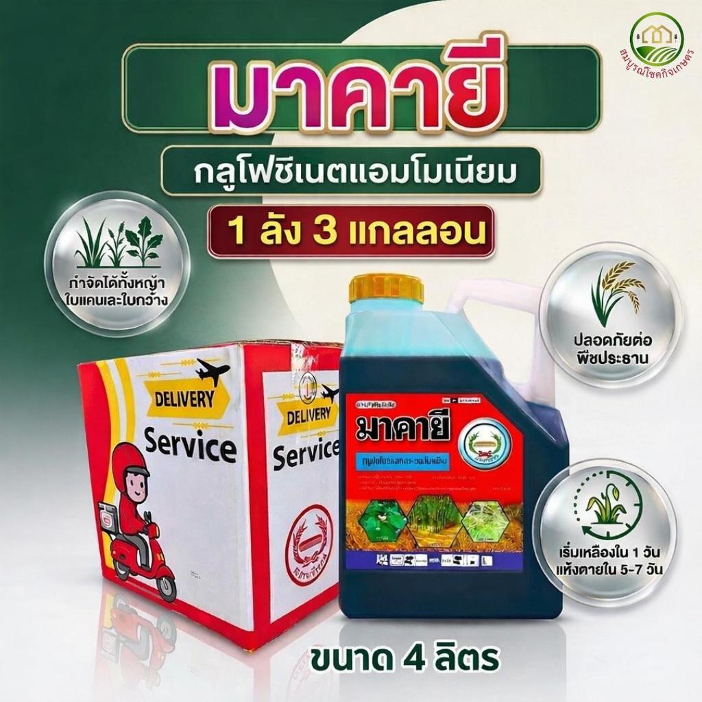 (ยกลัง) มาคายี หวีทอง กลูโฟซิเนต แอมโมเนียม 15% SL 4 ลิตร X3 แกลลอน สารกำจัดวัชพืช ยากำจัดหญ้า ใบแคบ ใบกว้าง