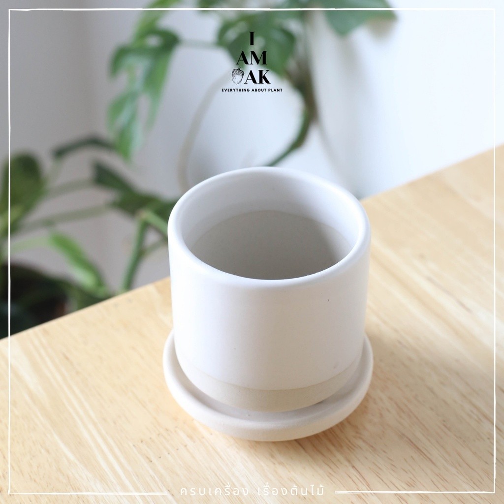 มุมมอง 2