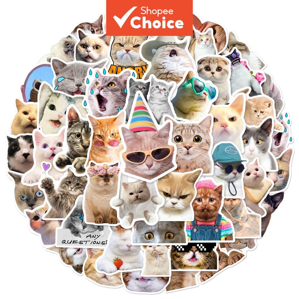 ใหม่ 50 ชิ้น * 5 แพ็ครูปแบบแมวลูกแมว MEME กันน้ํา Graffiti สติกเกอร์สําหรับหมวกกันน็อคจักรยานบัญชีมือกรณีดินสอ Decals LanLanStickersWorld