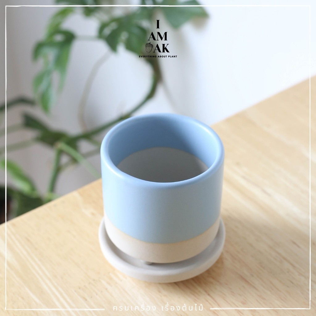 มุมมอง 5