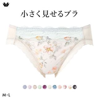 Wacoal BRB453 panties (Sizes M-L)(40PRA153MLW)(Direct from J…