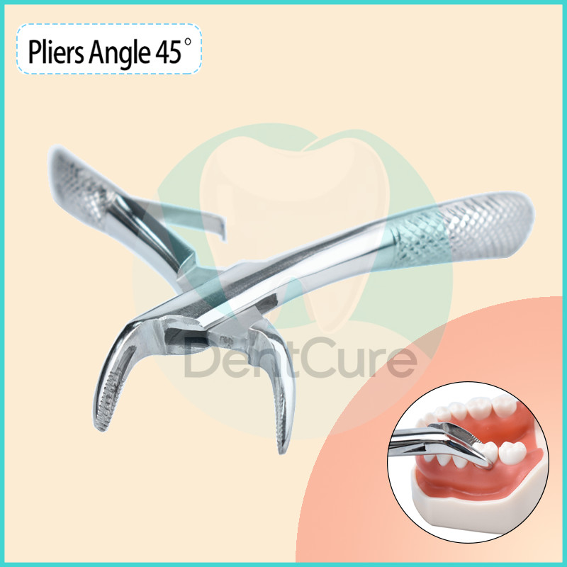ชุดอุปกรณ์ทันตกรรมสำหรับเด็ก คีมสแตนเลสถอนฟันเด็ก สำหรับทันตแพทย์ Dental Children's Tooth Extraction Forcep Pliers