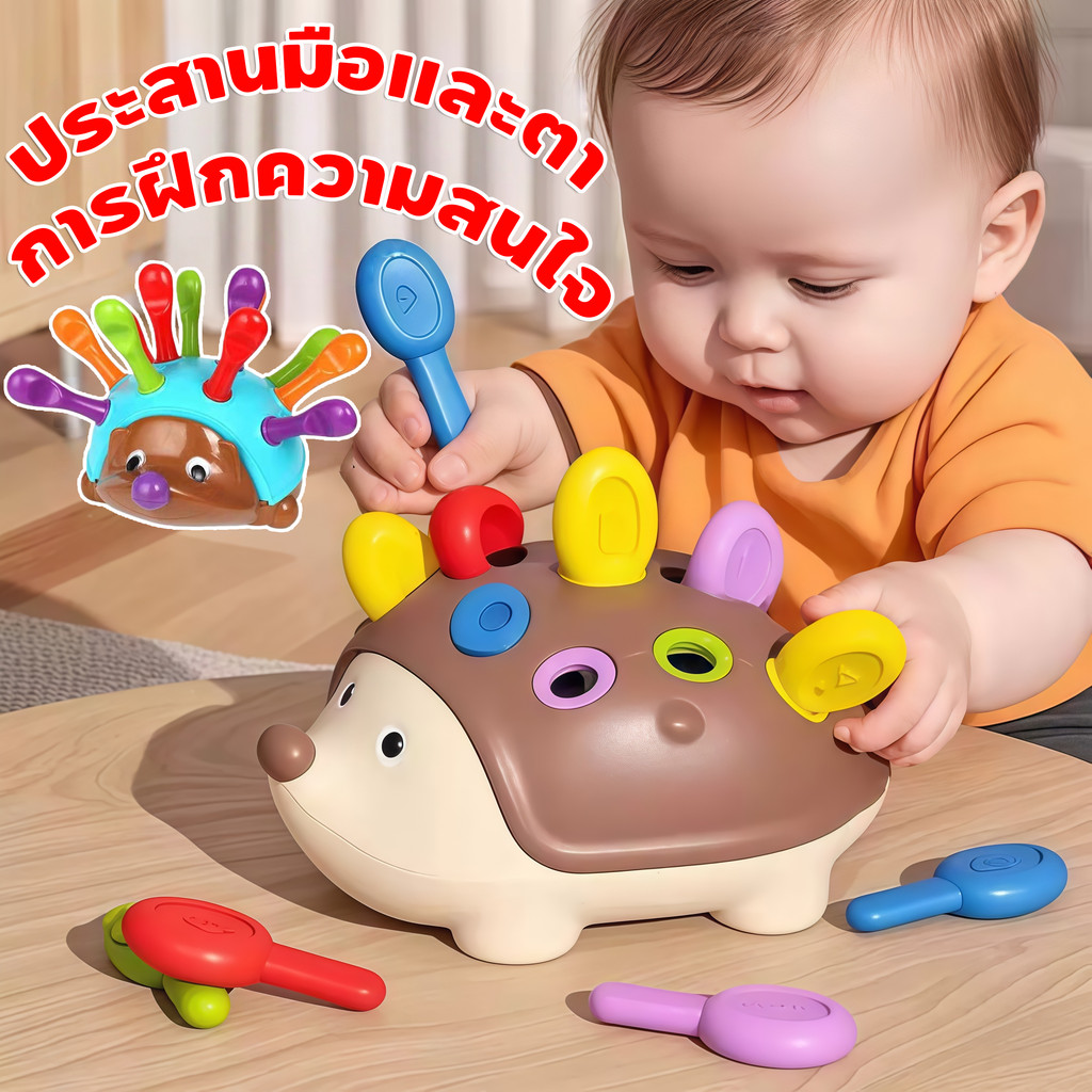 COD เม่นน้อย ของเล่นเพื่อการศึกษา การฝึกความสนใจ ประสานมือและตา ของเล่นสําหรับเด็กอายุ1-3 ปี