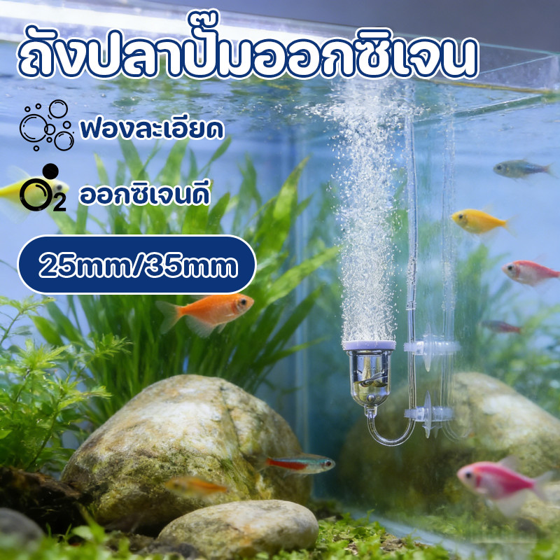 ถังปลาปั๊มออกซิเจน ขนาด 25/35 มม. ให้เลือก หัฟองอ่อน เบาไม่กระทบปลา หรับอ๊อกซิเจน ตู้ปลาตู้ปลาถังปั๊มออกซิเจนเครื่องตัด