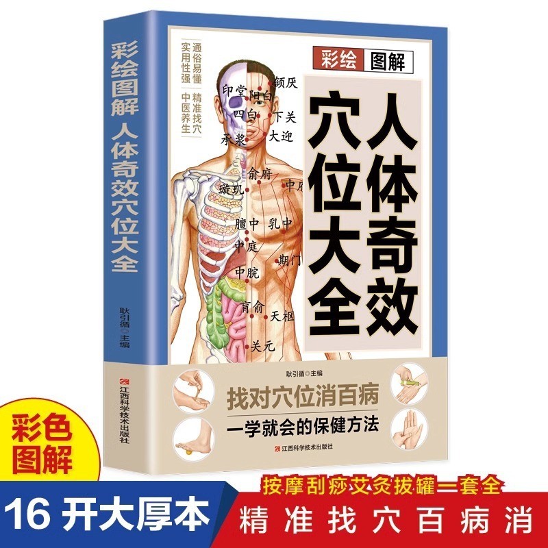 彩绘图解人体奇效穴位大全 人体经络穴位按摩大全书中医养生书籍4-13Illustrated Guide to the Miraculous Acupoints of the Human Body: C