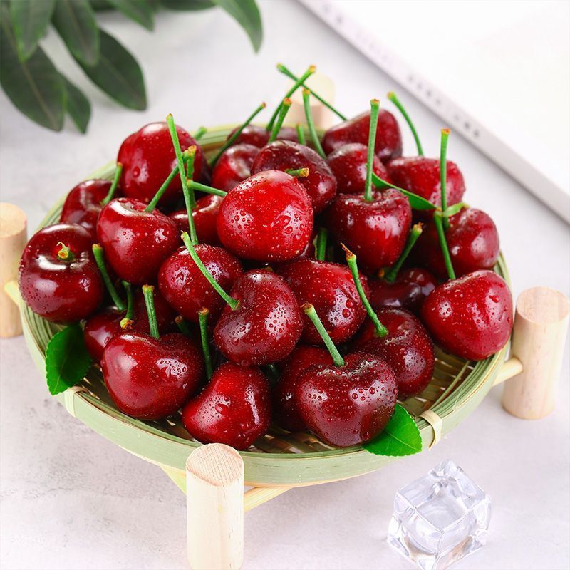 เมล็ดพันธุ์เชอร์รี่หวาน 10 เมล็ด | สร้างสวนเชอร์รี่ในฝัน ปลูกง่าย มีคู่มือช่วย รอเก็บผลสีแดงสดจากต้นได้ด้วยตัวเอง - รูปที่ 5