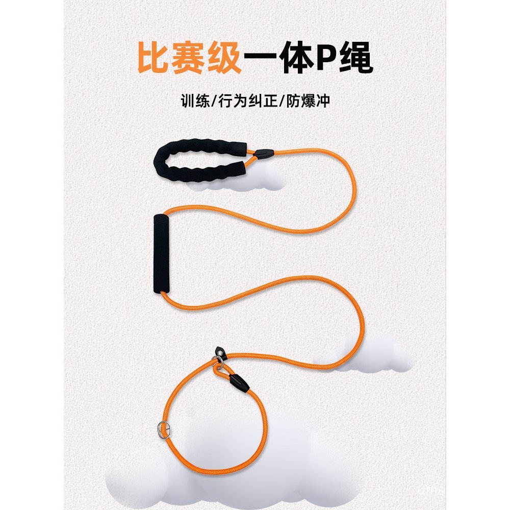 Dedicated Small Dogs Explosion-Proof Puppies Dogs P Chain Integrated Training Teddy Leash Corgi Medi