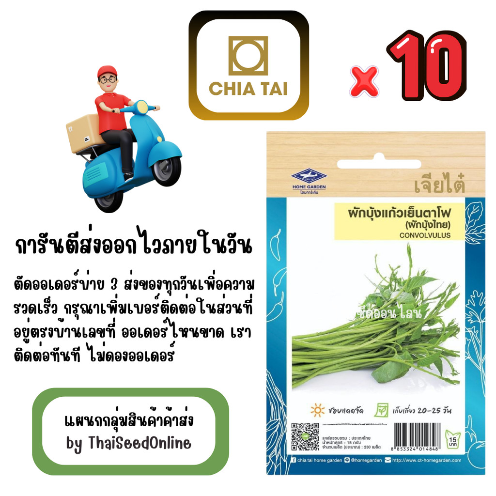 CTOP x 10 เมล็ดผักซองเจียไต๋ ผักบุ้งเย็นตาโฟ สินค้ายกแพ็ค