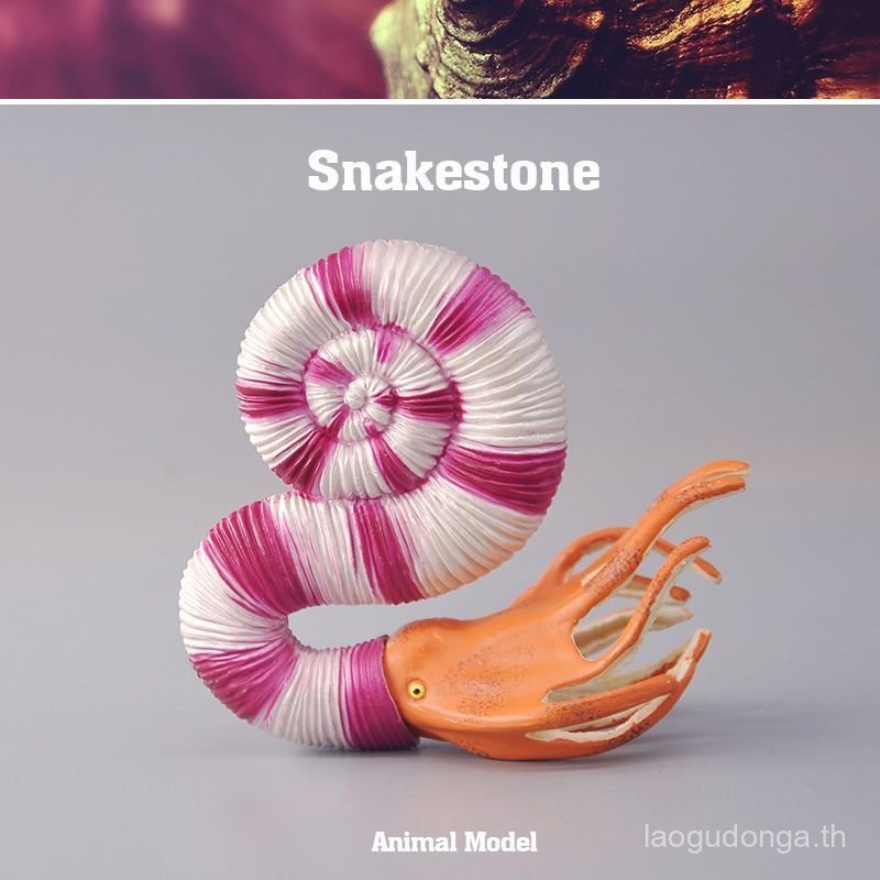 T Tongde B-Shaped โค้ง Ammonite รุ่นจําลองโบราณ Ocean Software สัตว์ของเล่น Ammonite เด็กความรู้ความ