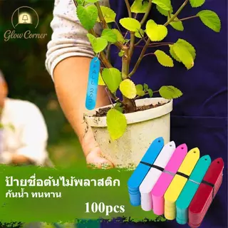 ป้ายชื่อพลาสติก 100ชิ้น กันน้ำใช้ซ้ำได้ ทนแดดและสภาพอากาศ สำหรับต้นไม้กระถาง เขียนง่ายติดตั้งสะดวก เหมาะสวนและการเกษตร