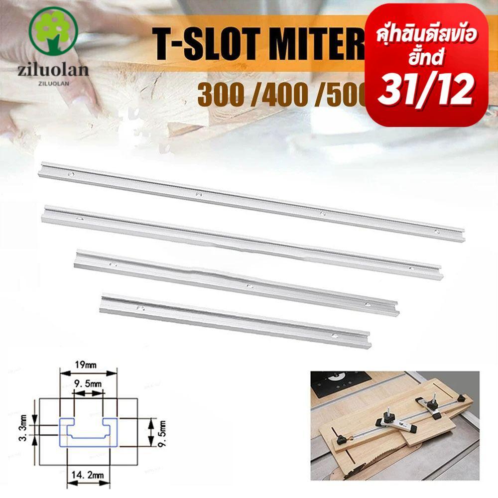 ZILUOLAN 1 ชิ้น T-Slot Track,สไลด์คู่มือรางT Slider Fixture Slotสไลด์T-Track,ทนทานอลูมิเนียม 300-600