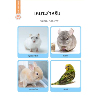 รุ่นใหม่ คอลลาร์เอลิซาเบธ EVA สำหรับสัตว์เล็ก หนูแฮมสเตอร์ กระต่าย ป้องกันเลีย กัด ข่วนหลังทำหมัน กันน้ำ คุ้มค่า ส่งเร็ว
