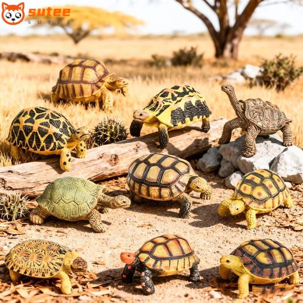 SUTEE ตุ๊กตาเต่า,ตุ๊กตาโมเดล PVC Star Turtle,ของเล่นเพื่อการศึกษาประติมากรรมรายละเอียดรูปสัตว์Geocheloneรุ่นตกแต่งบ้าน
