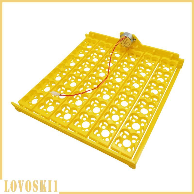 [Lovoski1] 36/156 เครื่องฟักไข่สําหรับ Geese Quail Bird Egg Hatching สีเหลือง US Type