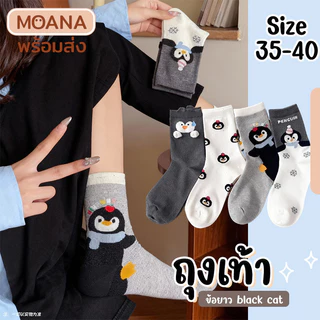พร้อมส่ง : ถุงเท้า ข้อยาว กวิ้นเทา 5 คู่ ลายมินิมอล แฟชั่น ลายน่ารักเนื้อผ้านุ่มม