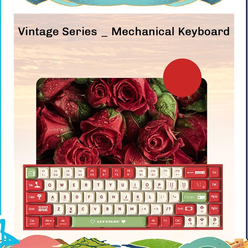 AK680 คีย์บอร์ดเกมคีย์บอร์ด ABS Keycap 68 คีย์คีย์บอร์ดแบบมีสาย Hot Swap สําหรับแล็ปท็อปพีซี