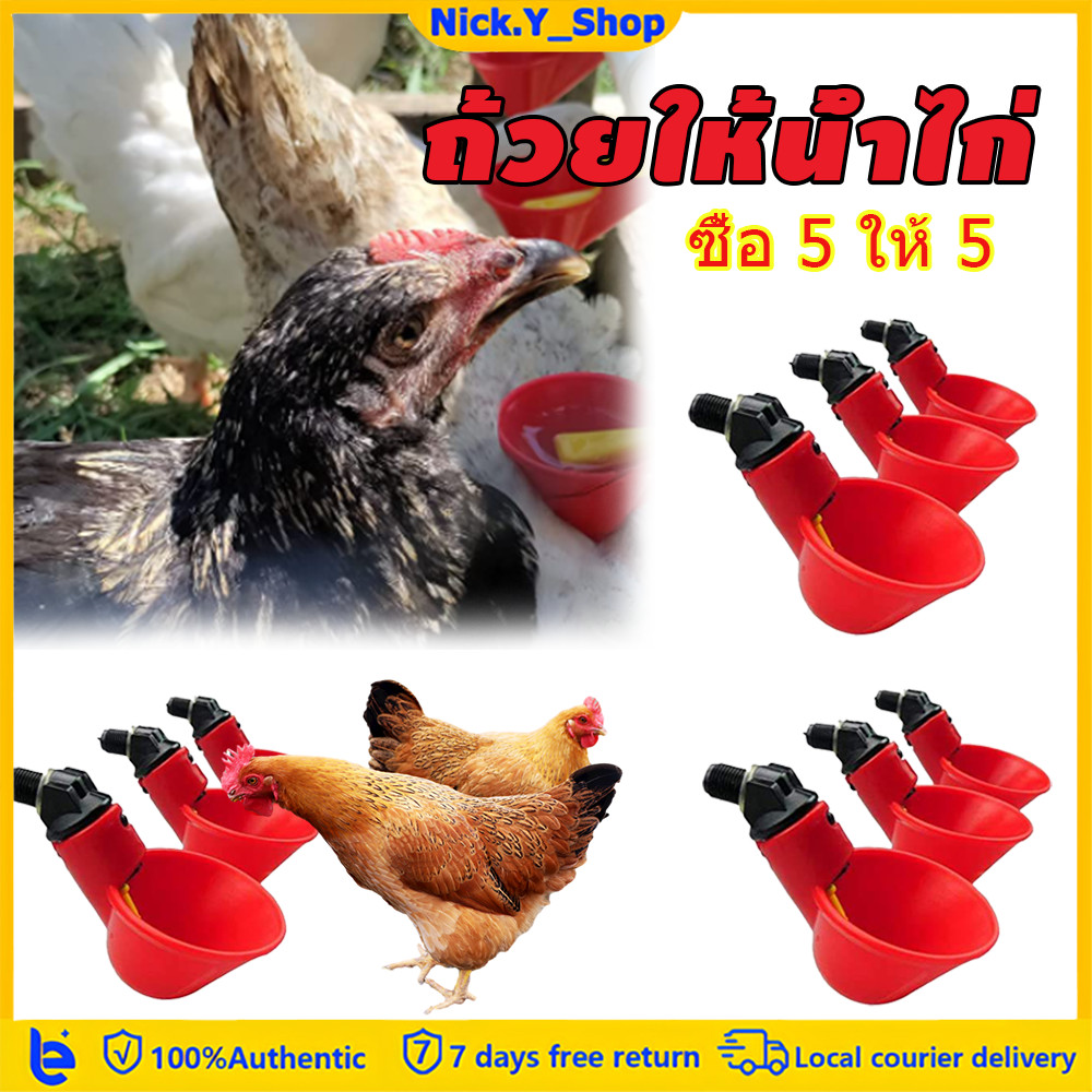 【ซื้อ 10 ให้ 10】 ถ้วยให้น้ำไก่ออโต้ 1/10/20ชิ้น ติดตั้งง่าย เหมาะกับไก่ เป็ด นกกระทา ระบบให้น้ำอัตโนมัติสะดวก