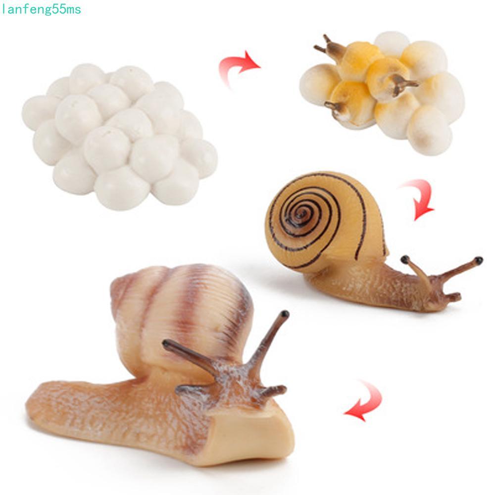 LANFENG Life CYCLE Figures แมลง Growth CYCLE เครื่องประดับที่สมจริงพลาสติก Miniature วิทยาศาสตร์เด็ก