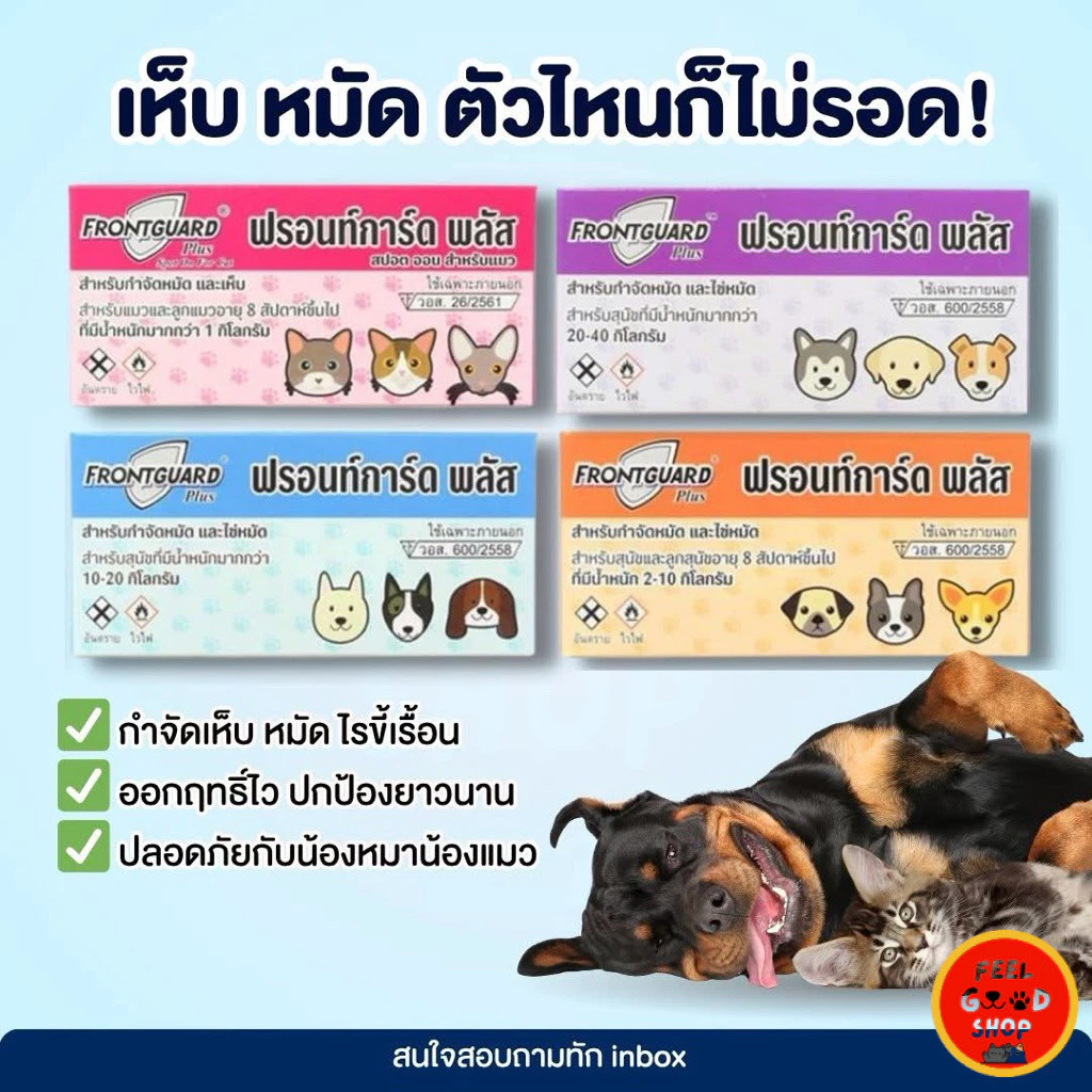 (ยกแพค 50 กล่องเล็ก) FrontGuard Plus ฟรอนท์การ์ด พลัส ผลิตภัณฑ์กำจัดเห็บหมัดสุนัข และแมว 8 สัปดาห์ ขึ้นไป