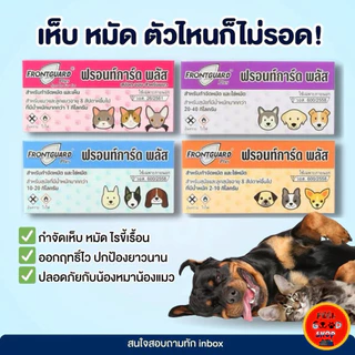 (ยกแพค 50 กล่องเล็ก) FrontGuard Plus ฟรอนท์การ์ด พลัส ผลิตภัณฑ์กำจัดเห็บหมัดสุนัข และแมว 8 สัปดาห์ ขึ้นไป