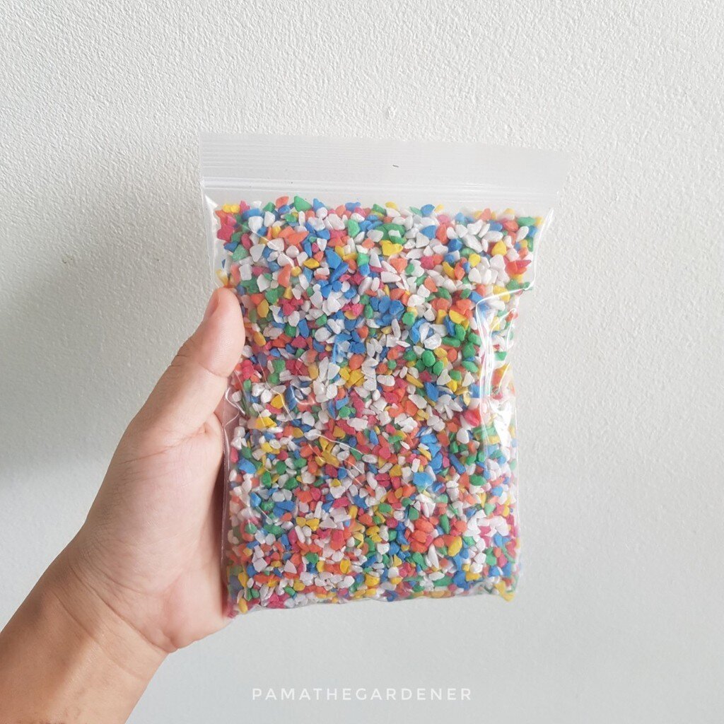 มุมมอง 5