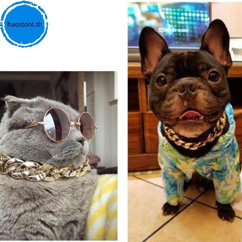 Haostont 1 PC Gold ปรับสุนัขแมวสร้อยคอสร้อยคอทองสําหรับสุนัขลูกแมวอุปกรณ์สัตว์เลี้ยง TH