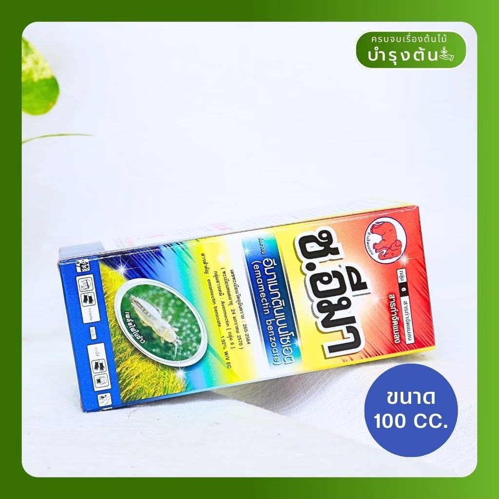 มุมมอง 3