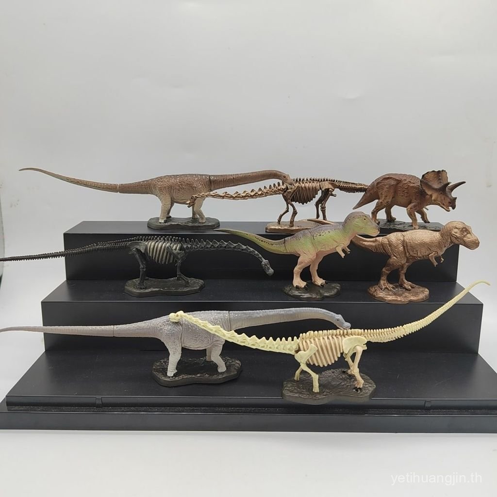 พร้อมสต็อก พิพิธภัณฑ์โครงกระดูกไดโนเสาร์ Ocean Hall Tyrannosaurus Rex Dinosaur Discovery Stego