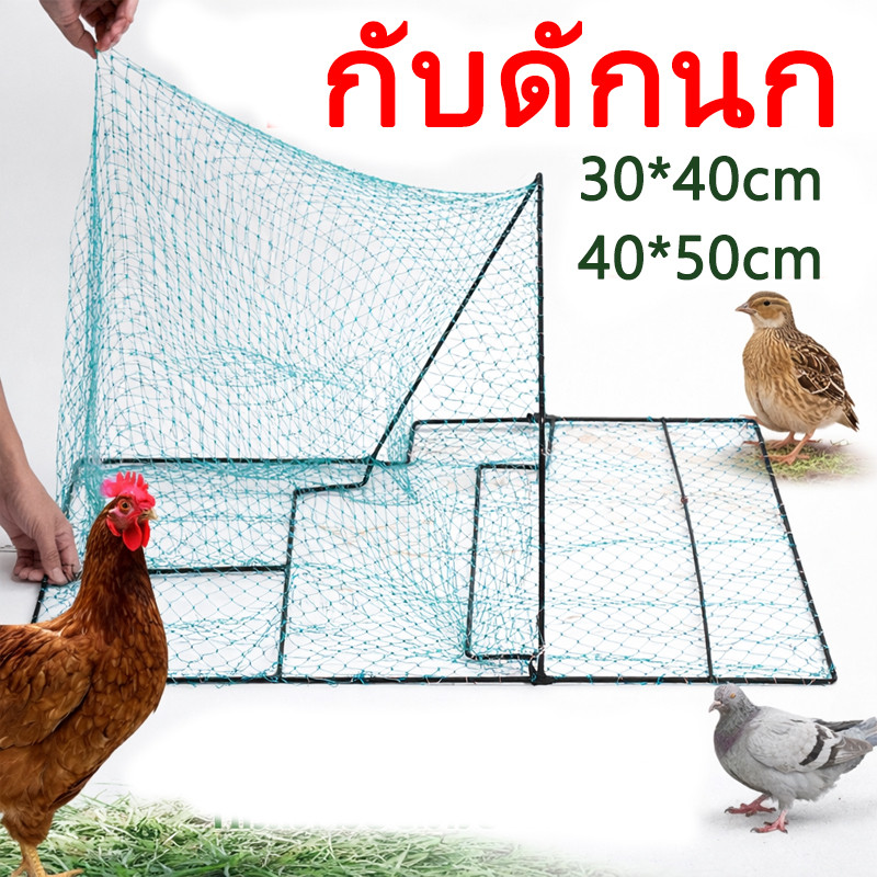 กับดักนก และ กับดักไก่แบบตาข่าย ดักนกทุกชนิก เซนสปริงดีตาข่ายดีเหล็กดีติดแล้วไม่หลุดใช้งานได้หลายปี