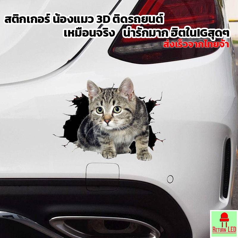 สติกเกอร์รถลายแมว 3D 🐱✨ ติดตกแต่งรถ เพิ่มความน่ารักสะดุดตา ติดตัวถัง สติกเกอ ท้ายรถ ReturnLED