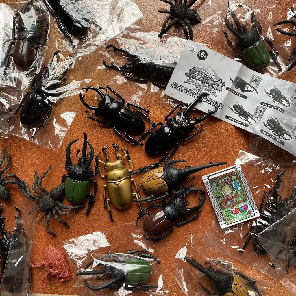 Beetle King เด็กความรู้ความเข้าใจจําลองแมลงรุ่น Unicorn Stag Beetle ยาว Halberd Big Beetle Spider เค