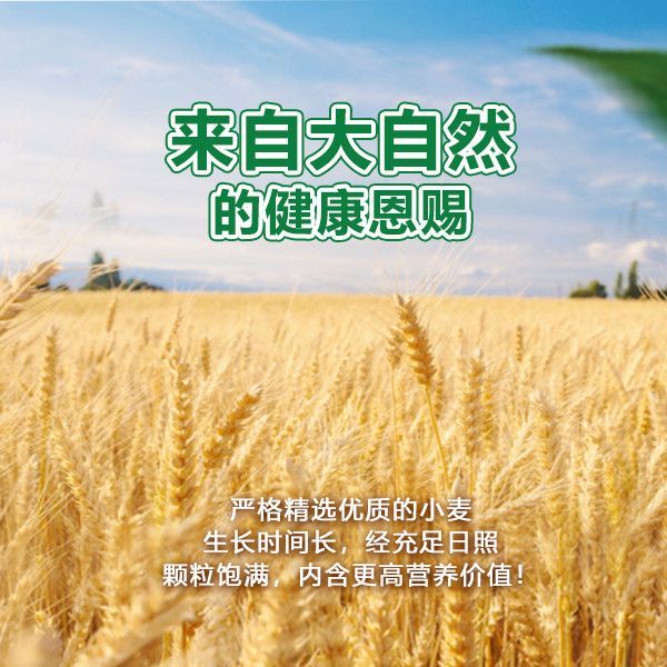 Malaysia Pan Noodles Instant Noodles Instant Food Sun-dried Handmade Food Mom Bagged Dry Instant Noo