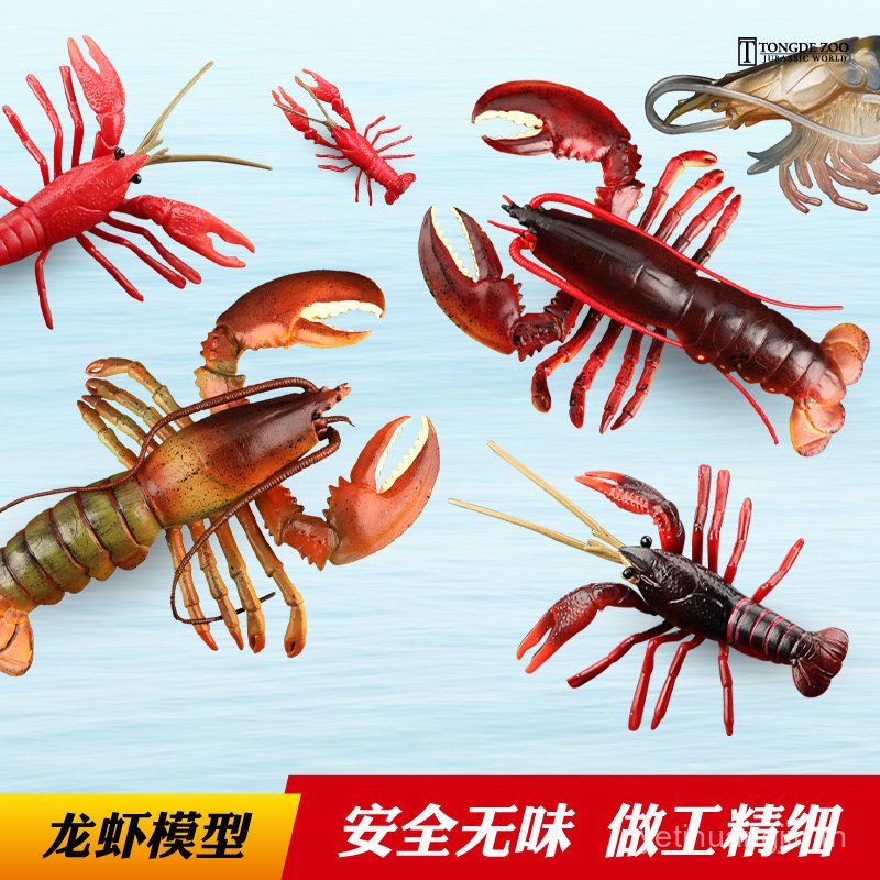 Tongde Lobster Model ของเล่นสัตว์ทะเลจําลองกุ้งทะเลกุ้งก้ามกรามบอสตันกุ้งก้ามกรามเด็ก