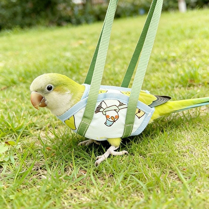 Parrot Walking Bird Tote Bag Outdoor Portable Bird Walking Handy Tool Strap Type Outing Bird Walking
