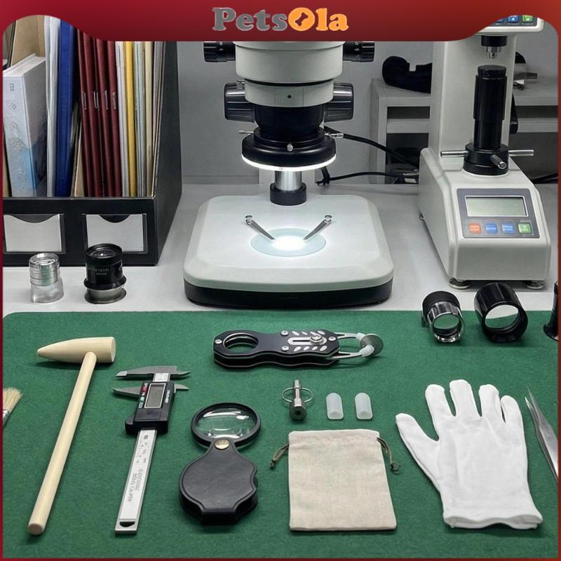 [PETSOLA] เหรียญ Ping Test Pocket เหรียญ Pinger ชุดทดสอบ Resonance เครื่องมือตรวจจับ