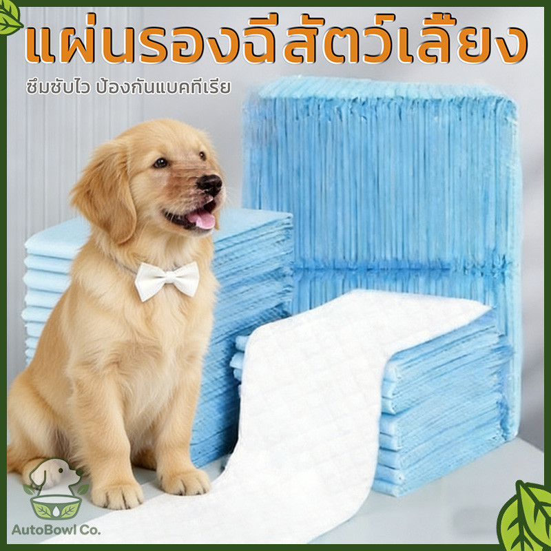 🐱🐶 Pee Pad สำหรับสัตว์เลี้ยง เหมาะสำหรับฝึกเข้าห้องน้ำ เนื้อดี ซึมซับเร็ว ใช้ได้ทั้งสุนัขและแมว
