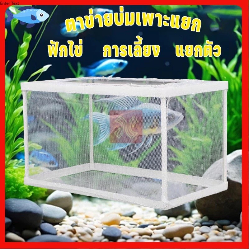 กล่องตะข่ายแยกปลาลูกปลาขนาน กล่องฟักไข่ ตู้ฟักไข่ปลา เพาะพันธุ์ปลา กล่องแยกปลา มีหลายสไตล์