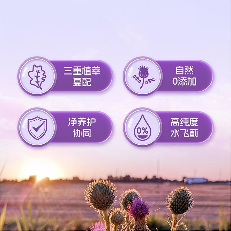 Pn Milk Thistle Water Thistle ตับปกป้องเม็ดตับ 60 แคปซูลนิ่มนําเข้าจากแคนาดา นมเข้มข้นสูง Thistle 4.
