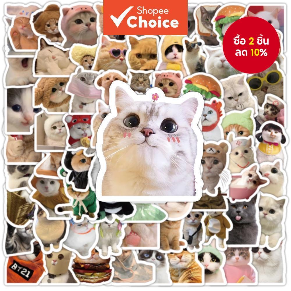 สติ๊กเกอร์แมวกันน้ํา 100 ชิ้นสําหรับแก้วน้ํา, แล็ปท็อป, โทรศัพท์ – Funny Cat Memes สําหรับเด็ก, วัยรุ่นและเด็กหญิง