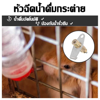 จุกให้น้ำอัตโนมัติ จุกให้น้ำกระต่าย หัวให้น้ำ อุปกรณ์ให้น้ำกระต่าย หนู นก สัตว์ฟันแทะ ใช้ต่อกับสายยาง 10ชุด