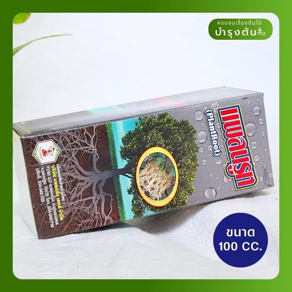 มุมมอง 3