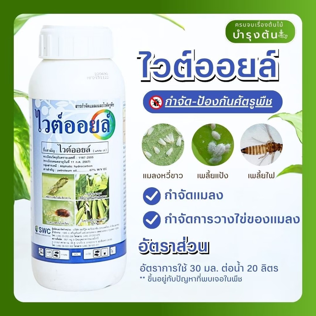 ไวต์ออยล์ - White Oil - ป้องกันกำจัดแมลงปากดูด เพลี้ยแป้ง เพลี้ยอ่อน ไรแดง