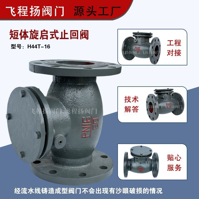 H44T 16 Swing Check Valve Cast Iron One Way Flange Valve DN100