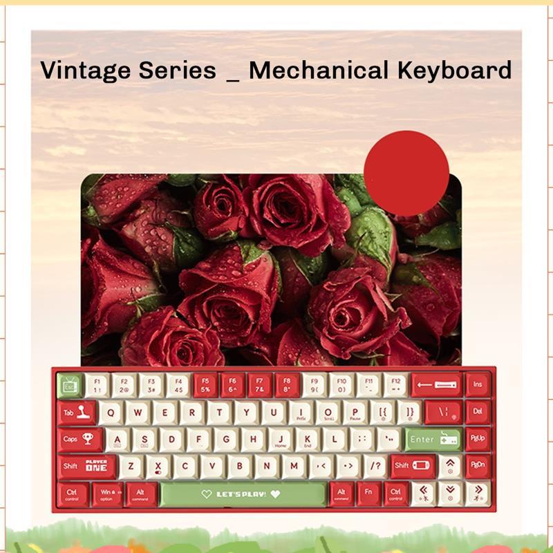 AK680 คีย์บอร์ดเกมคีย์บอร์ด ABS Keycap 68 คีย์คีย์บอร์ดแบบมีสาย Hot Swap สําหรับแล็ปท็อปพีซี